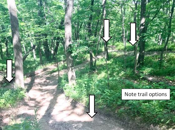trail options